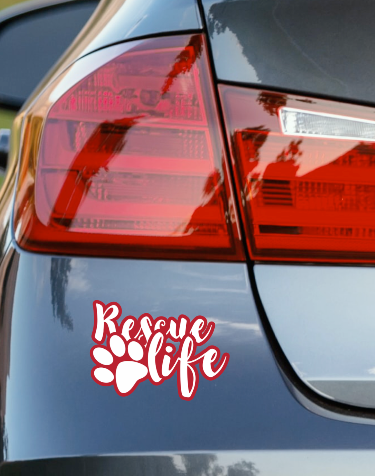 Rescue Life DECAL - RikkiTikkiTabby